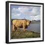 Highland Cows on the Isle of Skye-CM Dixon-Framed Premium Photographic Print