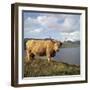 Highland Cows on the Isle of Skye-CM Dixon-Framed Photographic Print