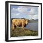 Highland Cows on the Isle of Skye-CM Dixon-Framed Photographic Print