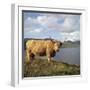 Highland Cows on the Isle of Skye-CM Dixon-Framed Photographic Print