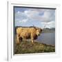 Highland Cows on the Isle of Skye-CM Dixon-Framed Photographic Print