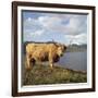 Highland Cows on the Isle of Skye-CM Dixon-Framed Photographic Print