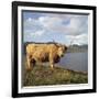 Highland Cows on the Isle of Skye-CM Dixon-Framed Photographic Print