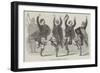 Highland Dancers and Pipers-null-Framed Giclee Print