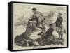 Highland Deerstalking, By George! Missed Again-William Ralston-Framed Stretched Canvas