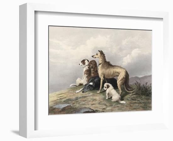 Highland Dogs-Edwin Henry Landseer-Framed Art Print
