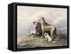 Highland Dogs-Edwin Henry Landseer-Framed Stretched Canvas