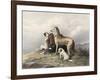 Highland Dogs-Edwin Henry Landseer-Framed Art Print