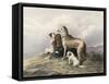 Highland Dogs-Edwin Henry Landseer-Framed Stretched Canvas