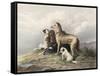 Highland Dogs-Edwin Henry Landseer-Framed Stretched Canvas