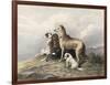 Highland Dogs-Edwin Henry Landseer-Framed Art Print