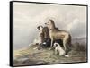 Highland Dogs-Edwin Henry Landseer-Framed Stretched Canvas