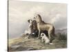 Highland Dogs-Edwin Henry Landseer-Stretched Canvas