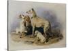 Highland Dogs-Edwin Henry Landseer-Stretched Canvas