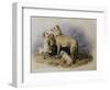 Highland Dogs-Edwin Henry Landseer-Framed Giclee Print