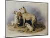 Highland Dogs-Edwin Henry Landseer-Mounted Giclee Print