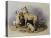 Highland Dogs-Edwin Henry Landseer-Stretched Canvas