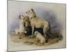 Highland Dogs-Edwin Henry Landseer-Mounted Giclee Print