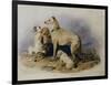 Highland Dogs-Edwin Henry Landseer-Framed Giclee Print