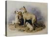 Highland Dogs-Edwin Henry Landseer-Stretched Canvas