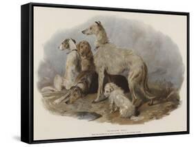 Highland Dogs-Edwin Landseer-Framed Stretched Canvas
