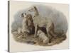 Highland Dogs-Edwin Landseer-Stretched Canvas