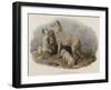 Highland Dogs-Edwin Landseer-Framed Giclee Print