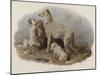 Highland Dogs-Edwin Landseer-Mounted Giclee Print