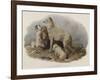 Highland Dogs-Edwin Landseer-Framed Premium Giclee Print