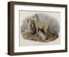 Highland Dogs-Edwin Landseer-Framed Giclee Print