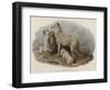 Highland Dogs-Edwin Landseer-Framed Giclee Print