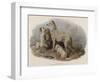 Highland Dogs-Edwin Landseer-Framed Giclee Print