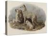 Highland Dogs-Edwin Landseer-Stretched Canvas