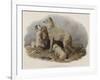 Highland Dogs-Edwin Landseer-Framed Giclee Print