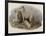 Highland Dogs-Edwin Landseer-Framed Giclee Print