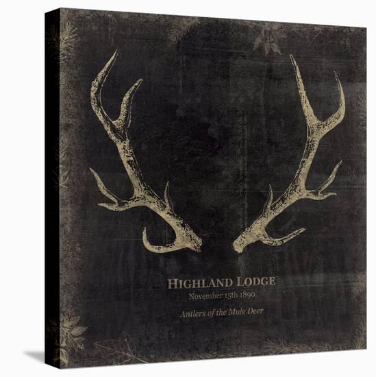 Highland Lodge-Maria Mendez-Stretched Canvas