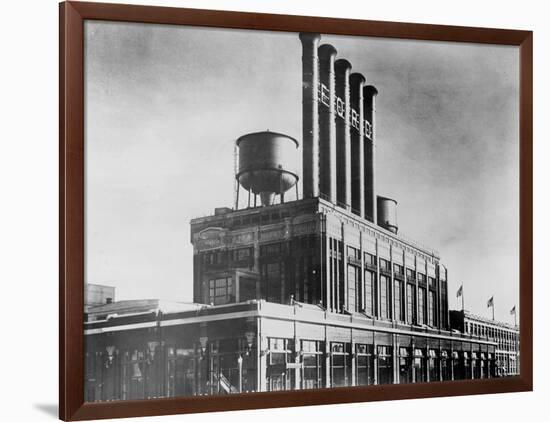 Highland Park Plant-null-Framed Photographic Print