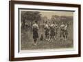 Brown Frame