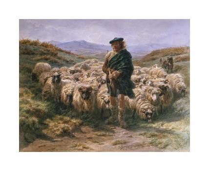 'Highland Shepherd' Premium Giclee Print - Rosa Bonheur | AllPosters.com
