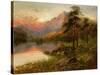 Highland Solitude-Frank Hider-Stretched Canvas