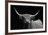 Highland Spirit-Bill Philip-Framed Giclee Print