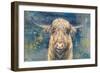 Highland Taurus-Dina Peregojina-Framed Art Print