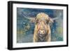 Highland Taurus-Dina Peregojina-Framed Art Print