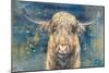 Highland Taurus-Dina Peregojina-Mounted Art Print