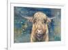 Highland Taurus-Dina Peregojina-Framed Art Print