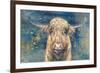 Highland Taurus-Dina Peregojina-Framed Art Print