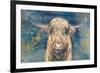 Highland Taurus-Dina Peregojina-Framed Art Print