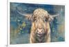 Highland Taurus-Dina Peregojina-Framed Art Print