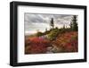 Highland Trail-Danny Head-Framed Photographic Print