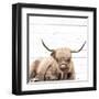 Highland V2-Kimberly Allen-Framed Art Print